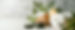 360_F_393855516_0BcgVZqNlVrvDE0kiD3YTlVJaur8Q02G.jpg