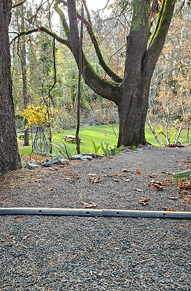 A rubber bump over a gravel trail with large trees and a meaow in the background