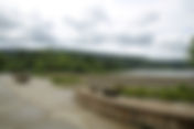 Disabled Hikers Group Hike: Lake Sammamish State Park