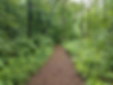 Virtual Trail Tour to Know and Love