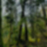 Elk_edited_edited.jpg