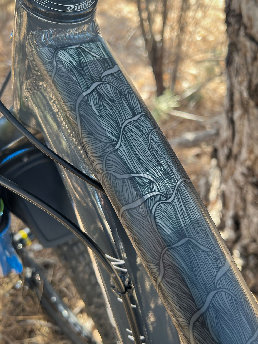 Top Tube of mountain bike with Mushroom Wave Protection Tape on Niner Bike