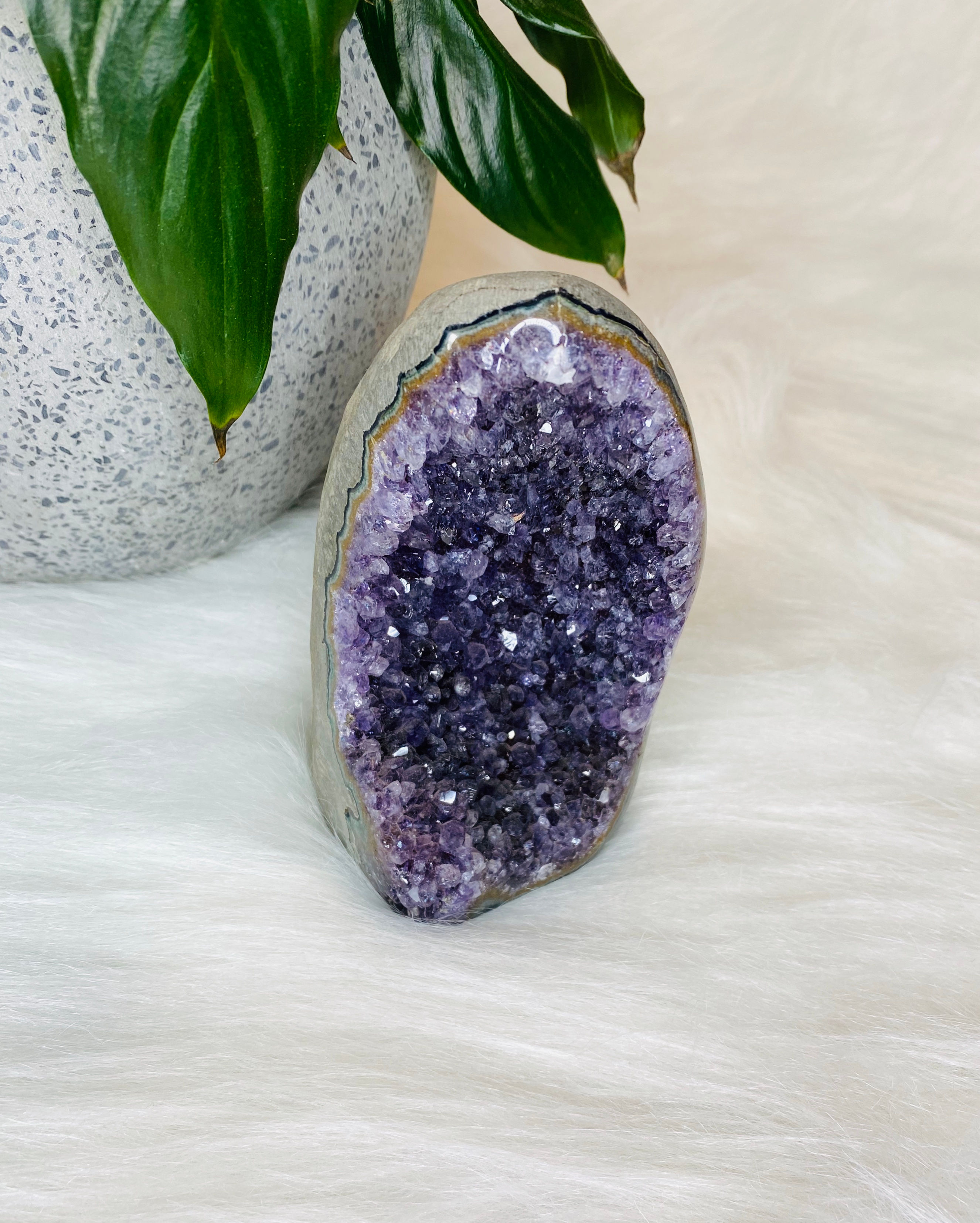 Amethyst Geode Cave