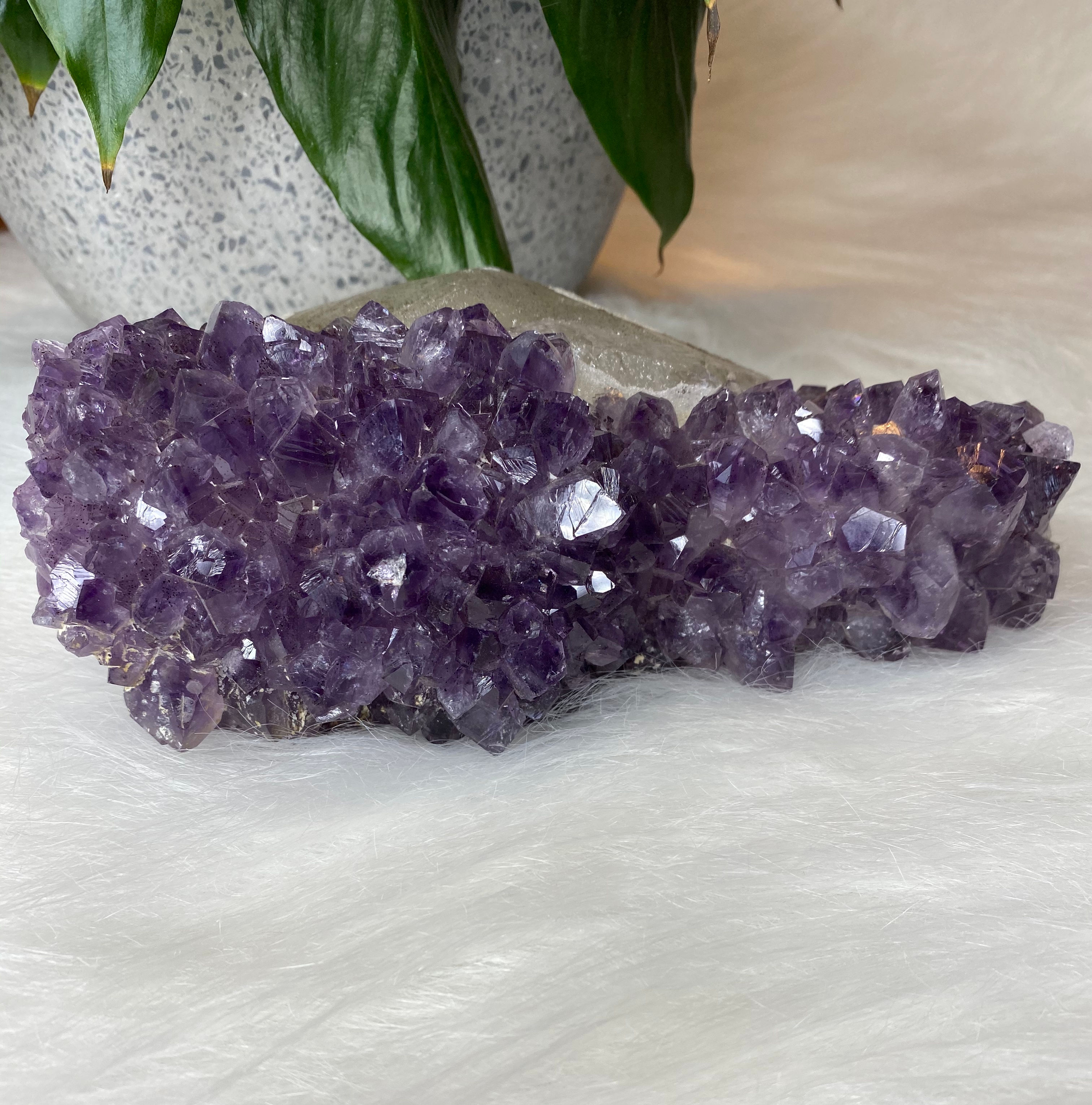 Amethyst Free Form