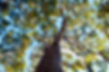 _DSC0455_C.jpg