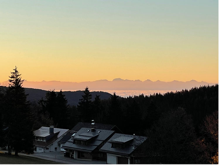 Alpen ochtend.jpg