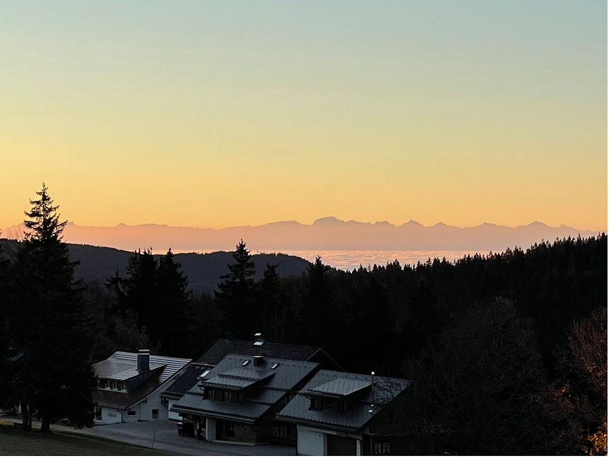Alpenblick im Schwarzwald