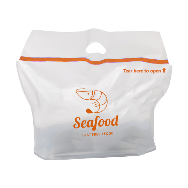 TAMPER EVIDENCE DELIVERY BAG
