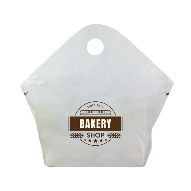 TAMPER EVIDENCE DELIVERY BAG0