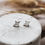 Thumbnail: North Star Earrings 