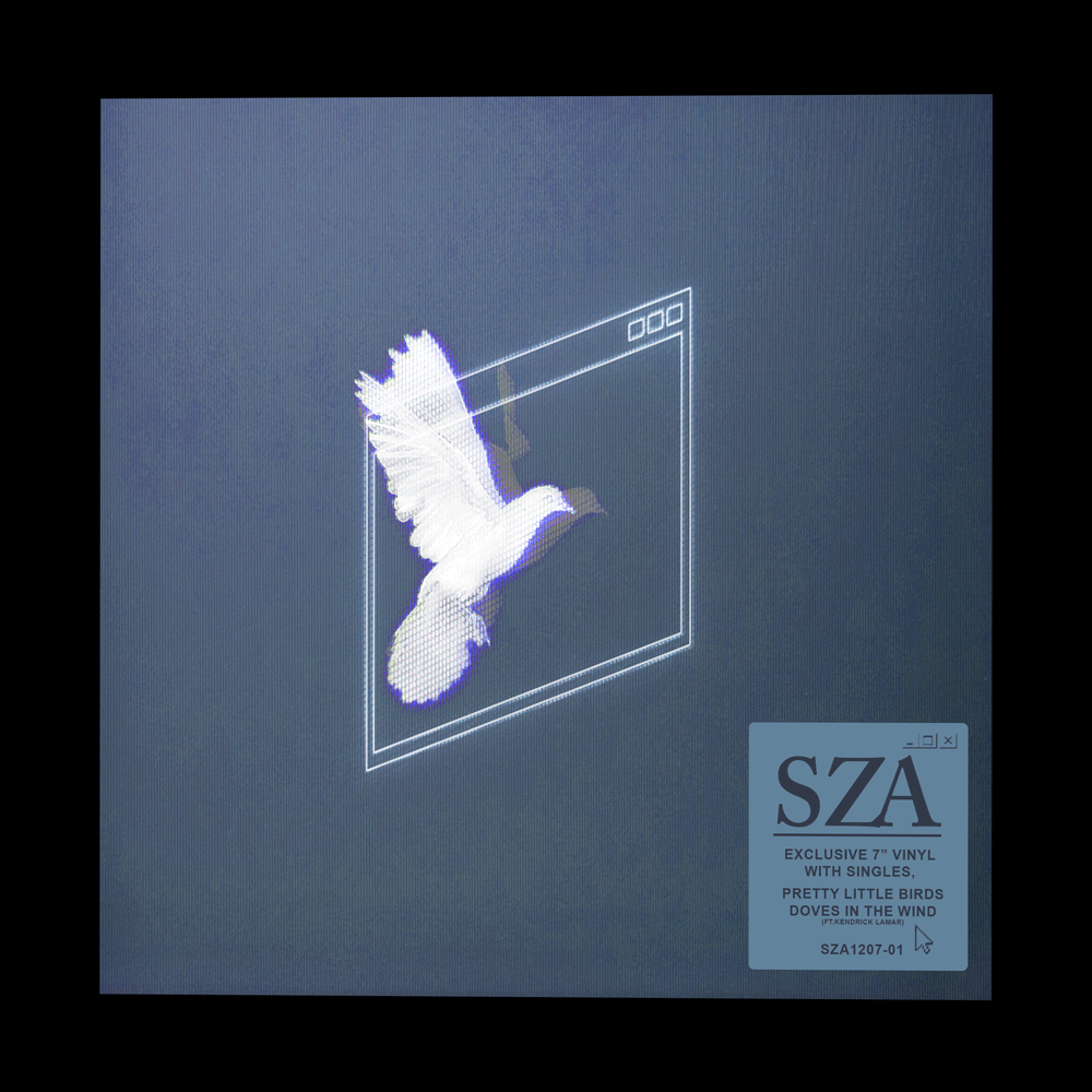 Sza-tilt-for-web-