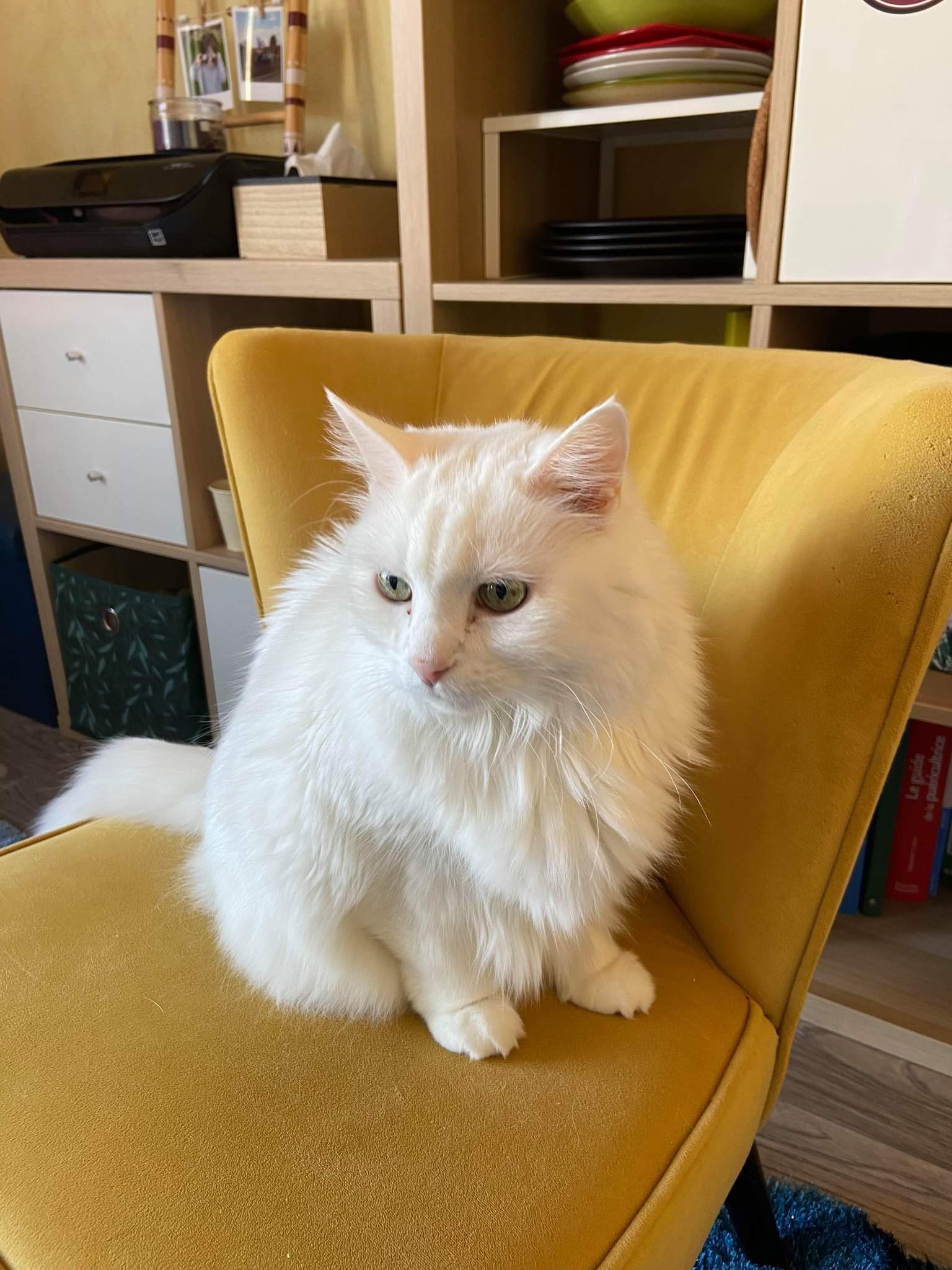 Lilou