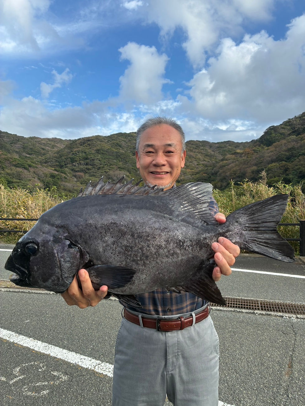 2025.11.11 イシダイ 61cm 4.2kg