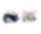 House Icon (4).png