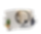 Hardware & Glass Ware.png