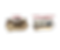 House Icon (3).png