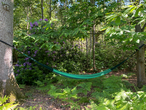 Coping with Burnout and Being Enough