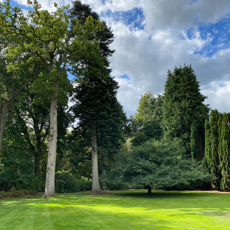 Summer view down the garden