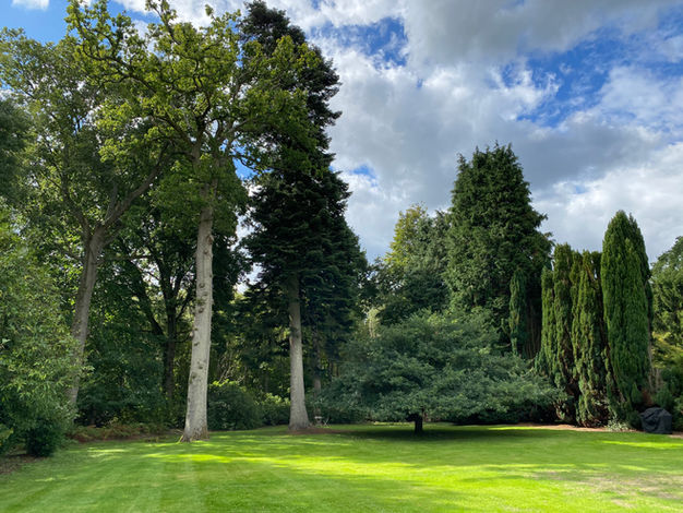 A scenic woodland area at Art & Soul retreat centre, offering a peaceful environment for intuitive coaching and creative workshops