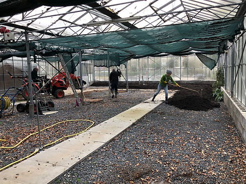 Preparing the soil in the greenhouse at Nuthurst Allotment, Horsham