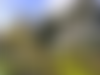 The War in Iran - Why We Need Our Allotment Now More Than Ever