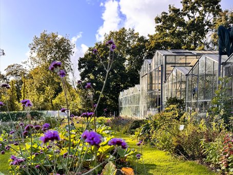 The War in Iran - Why We Need Our Allotment Now More Than Ever