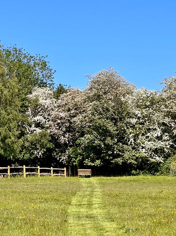 A wooden bench in an open retreat field, inviting moments of reflection and inner peace in the West Sussex countryside.