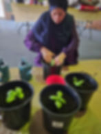 IMG-20251127-WA0078
