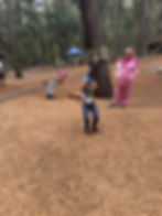 IMG-20251124-WA0074