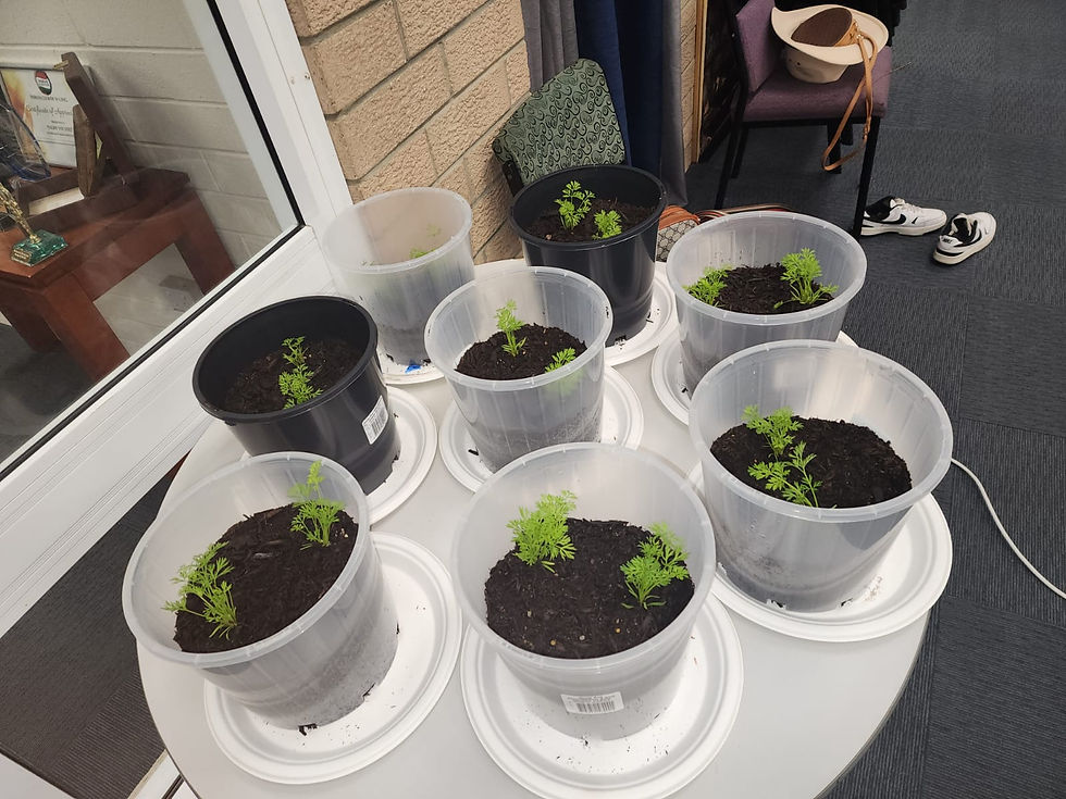 WhatsApp Image 2026-01-27 at 9.42.33 AM