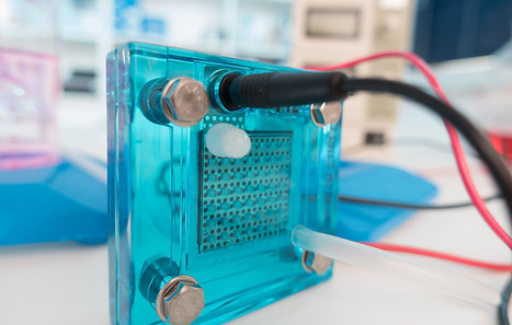 PEM proton exchange membrane reversible