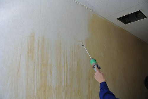 サムネイル： アルカリイオン洗浄剤