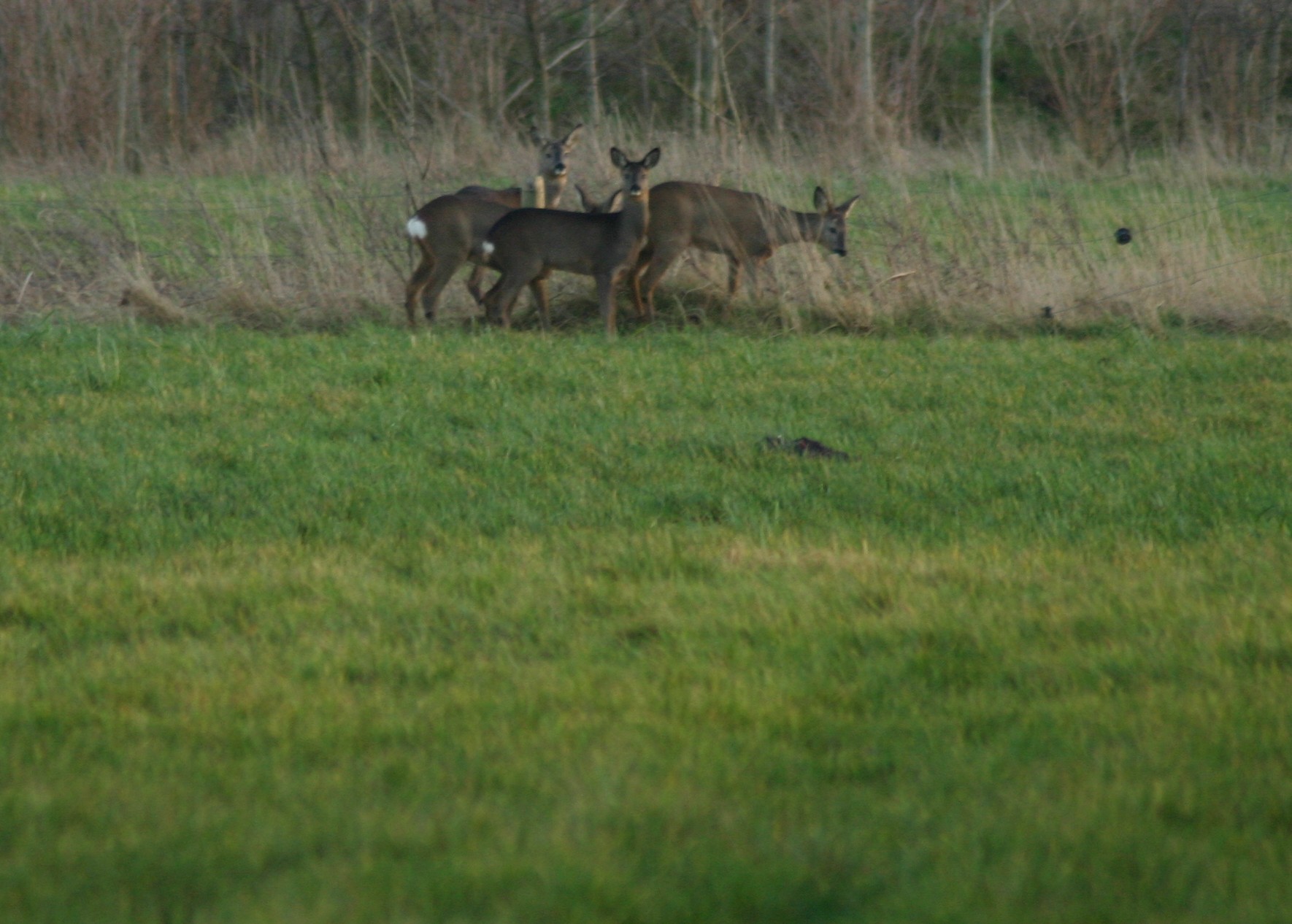 Een wandeling de moeite waard