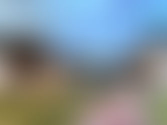 PASSEIO DELTA DO TIGRE - ARGENTINA