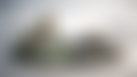 Aumento e redução de capital social