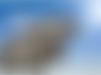 PAS et retenue à la source – deux impôts à ne pas confondre