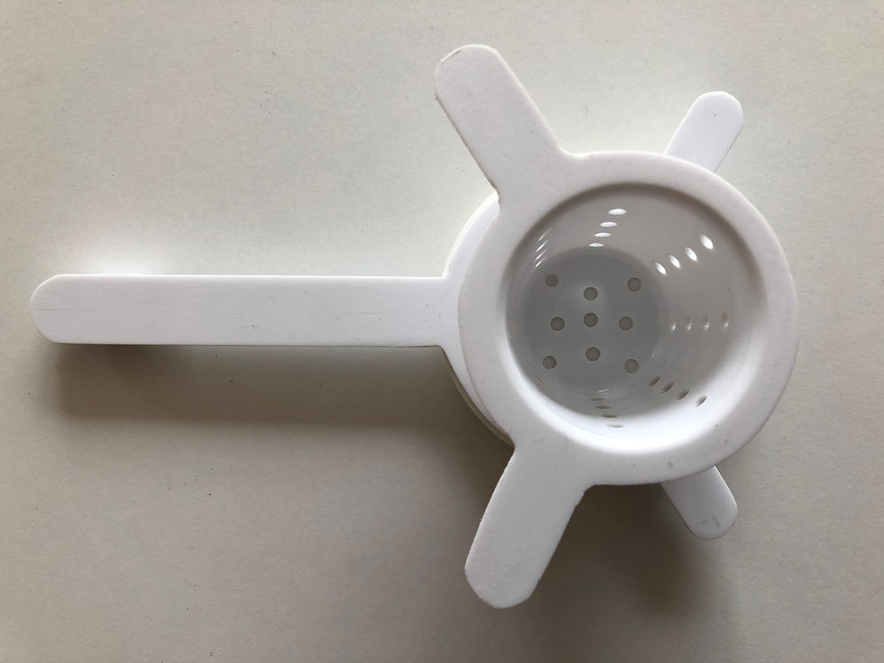 Dragonfly Infuser - BA Project