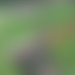 😢 Heinsberg-Eschweiler