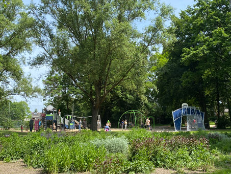 🌳 Beller Mühle in MG