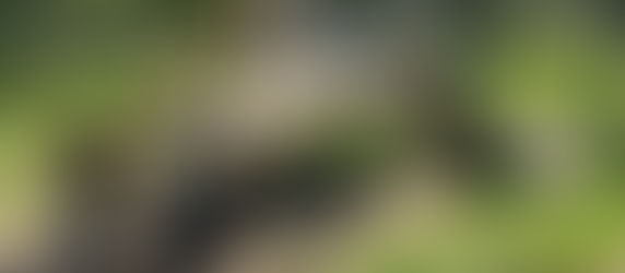 ⚽️ Heinsberg-Lieck