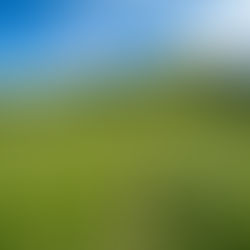 Prestkonetinden 646 moh