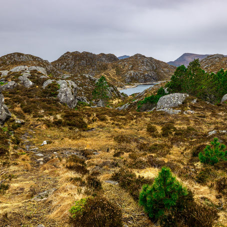 Igesundshetta 216 moh