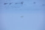 newtontoppen svalbard