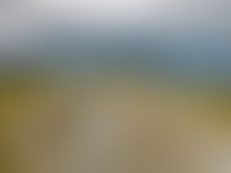 Rauddalskammen 851 moh