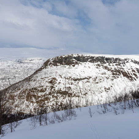 Skorsfjellet 1322 moh