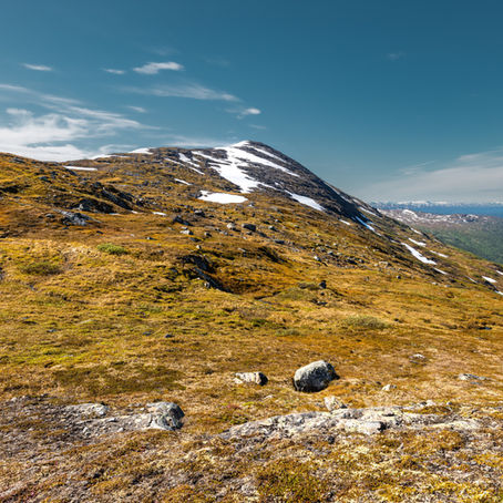 Jarfjellet 1159 moh