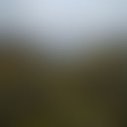 Holtafjellet 1479 moh