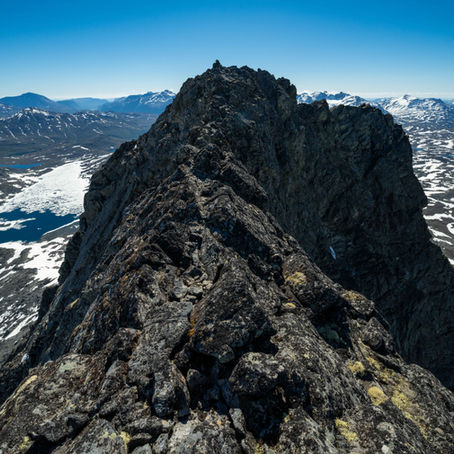 Store Rauddalseggje 2168 moh