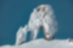 newtontoppen svalbard