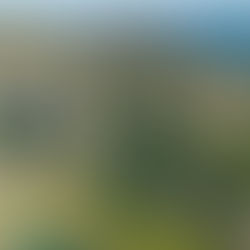 Rypdalstinden 803 moh